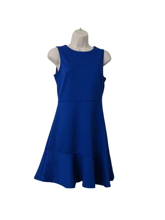 GAP Dresses & Skirts - Gap Blue Sleeveless Fit and Flare Flounce Skater Dress Women Size 2 Blue Office